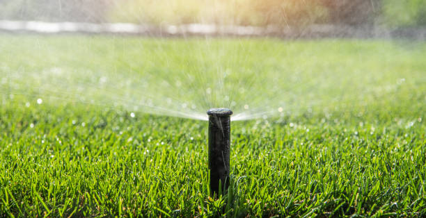 istock Garden Sprinkler Watering Theme 1306848662