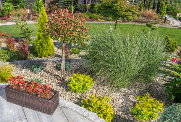 istock Beautiful Summer Time Backyard Garden 1306849316