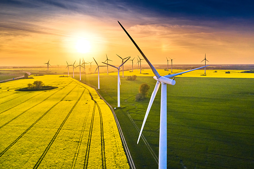 field of wind turbines in sunset in spring