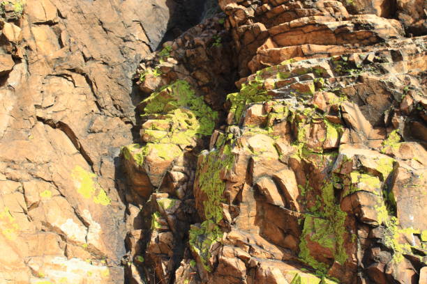 istock Lichen Covered Rock on Top of Cliff against Blue Sky 1306851207