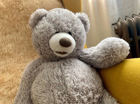 Cute gray teddy bear