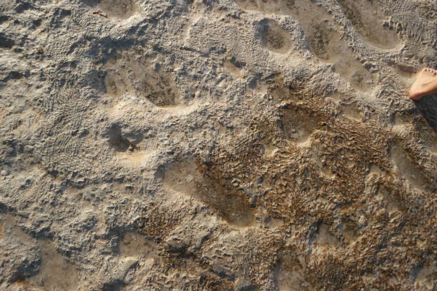 istock Surface of Pamukklale travertines. 1306854714