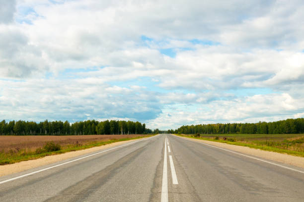 istock road with bad asphalt and markings leading into the forest 1306855773