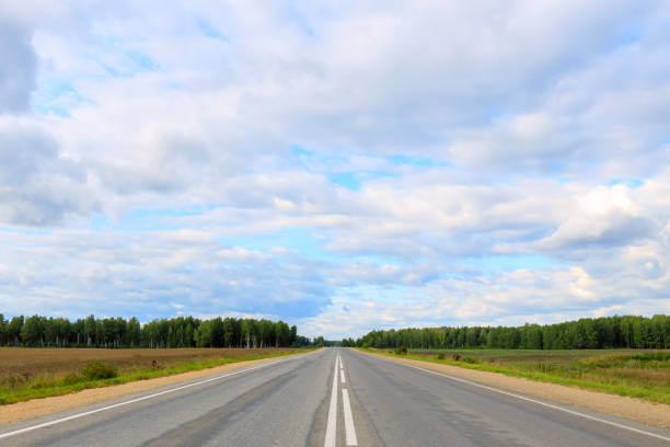 istock road going into the distance with bad asphalt 1306855775