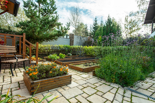 Vegetable garden - part of  Garden near dacha in Moscow oblast From covid-19 dacha become house all year house