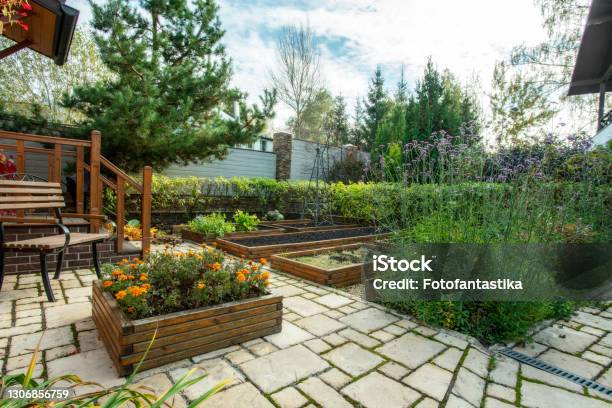 Vegetable Garden Part Of Garden Near Dacha In Moscow Oblast From Covid19 Dacha Become House Stock Photo - Download Image Now