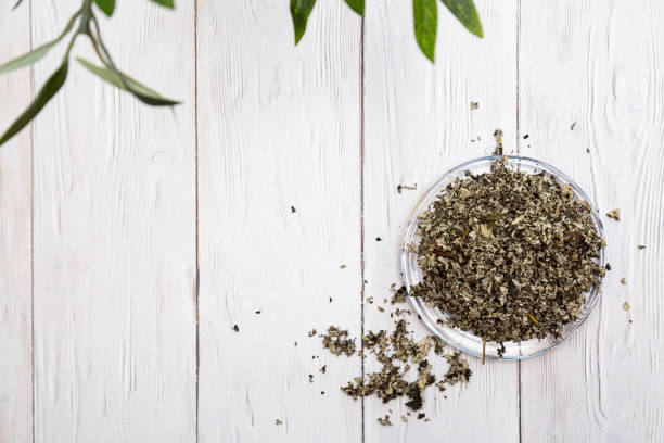 Fermented tea made from raspberry leaves in a glass plate on a white wooden table. Composition with organic, natural, dry herbal tea