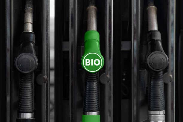 istock Fuel nozzles at a gas station 1306857131