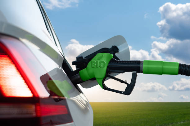Сar with biofuel Refueling the car with biofuel biofuel photos stock pictures, royalty-free photos & images