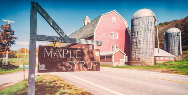 vermont - vermont farm dairy farm agricultural building imagens e fotografias de stock