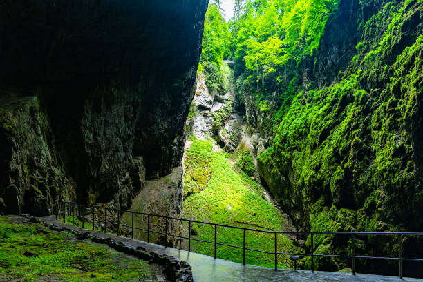 istock Macocha Abyss in Moravian Karst 1306858100