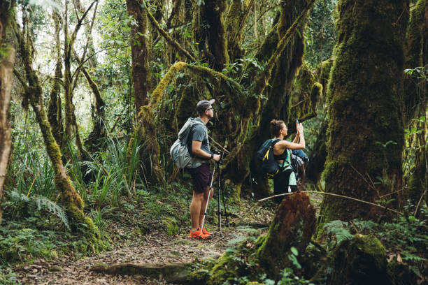 キリマンジャロ国立公園の美しい熱帯雨��林を探索する若い女性と男性のハイカー - 放浪願望 ストックフォトと画像