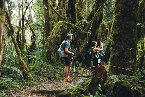 Woman traveler with long hair and a man with backpack hiking on the Mount Kilimanjaro through the scenic green tropical forest enjoying the view and taking photos of the landscape around