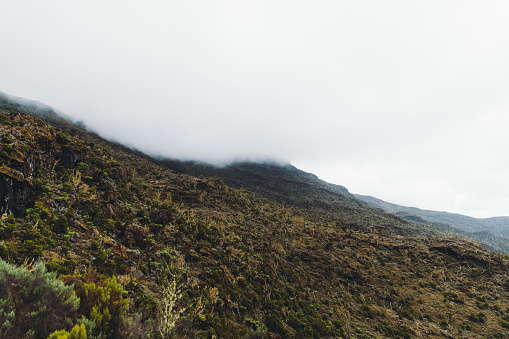 Scenic view of the beautiful mountains and the meadow in the fog during the hiking trip on Mount Kilimanjaro, Tanzania