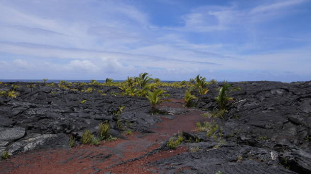 istock big island cold lava field 1306861968