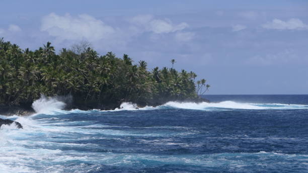 istock lava coast with palm trees 1306862290