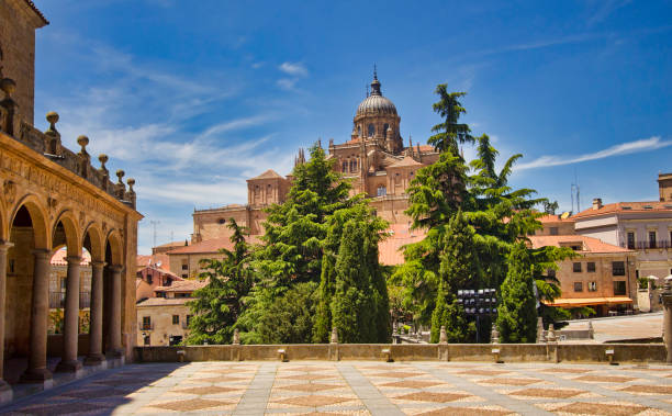 istock Cathedral of Salamanca, Spain 1306865684
