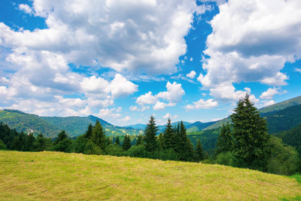 istock summer landscape in carpathian mountains 1306868300