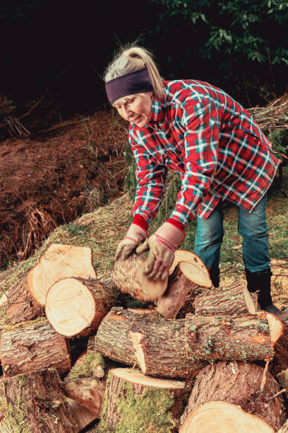istock Mature woman stacking cut logs. 1306870852