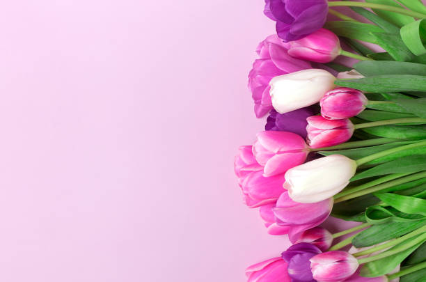 istock bouquet of tulips isolated on pink background Top view flat lay 1306871663