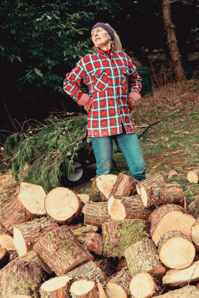 bóle pleców - logpile zdjęcia i obrazy z banku zdjęć