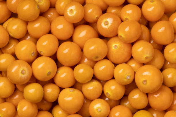 istock Fresh orange goldenberries close up full frame 1306875422