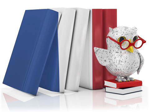3d render. Owl with books isolated on white background.