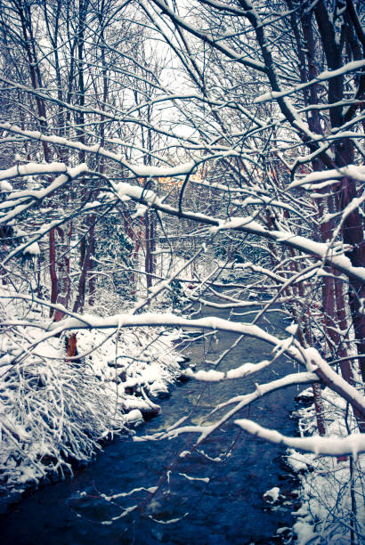 istock Small creek flowing in a forest covered with snow 1306876543