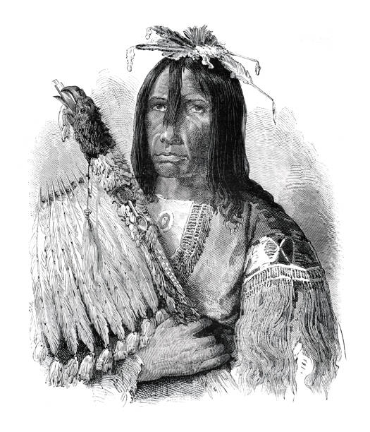 ilustraciones, imágenes clip art, dibujos animados e iconos de stock de jefe nativo americano de la tribu cree 1864 - chief sitting bull