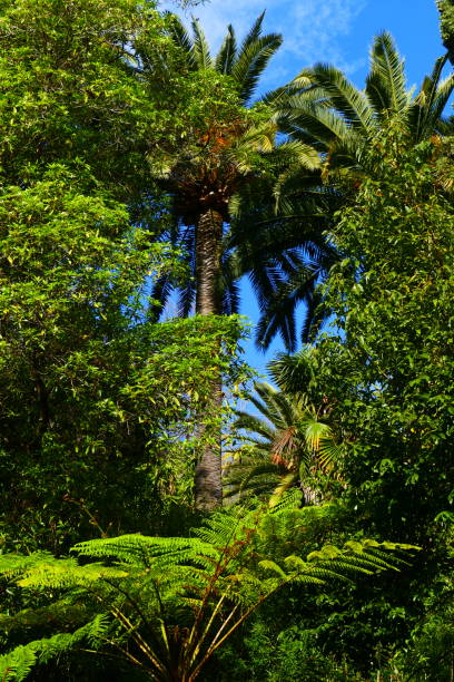 Botanical garden, Val Rahmeh, Menton