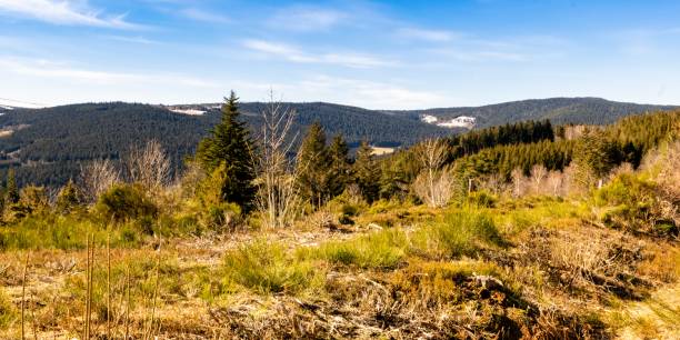 istock landscape of mountain of forez 1306883621