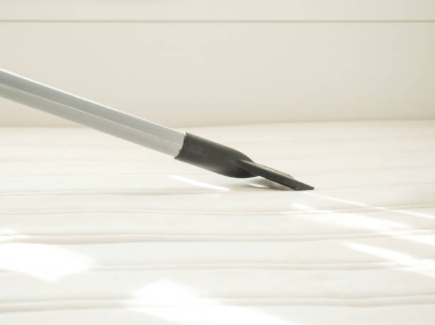 istock cleaning the mattress with a vacuum cleaner from garbage and wool, close-up. Space for text 1306884616