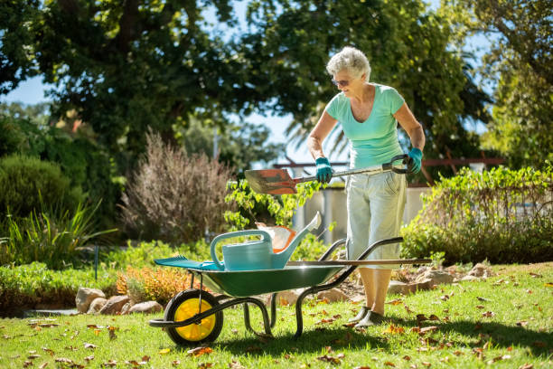 istock Senior woman working in backyard garden 1306885582