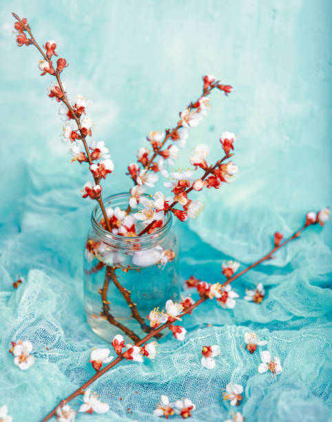 istock beautiful twigs of flowering trees in spring 1306886829