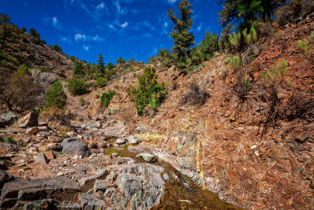 Spring-fed Copper Falls is a rarity in the mostly arid semi-desert of Northern Arizona.  The falls begin where Copper Canyon dead-ends at a narrow gorge.  After tumbling down the cascades and block shelves, it spawns an ephemeral creek that soon disappears downstream among boulders, willows, downed logs and sycamores.  Copper Falls is in the Prescott National Forest near Camp Verde, Arizona, USA.