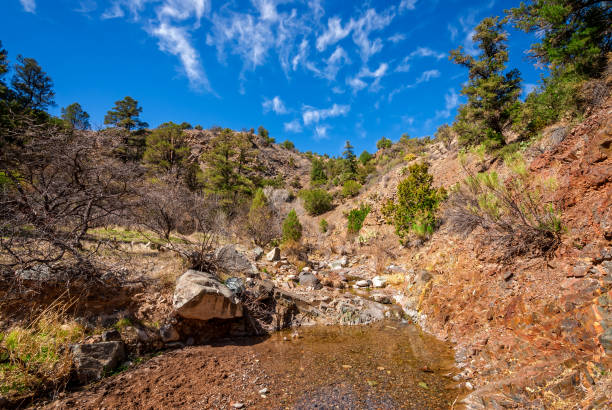 istock Creek in Copper Canyon 1306886946