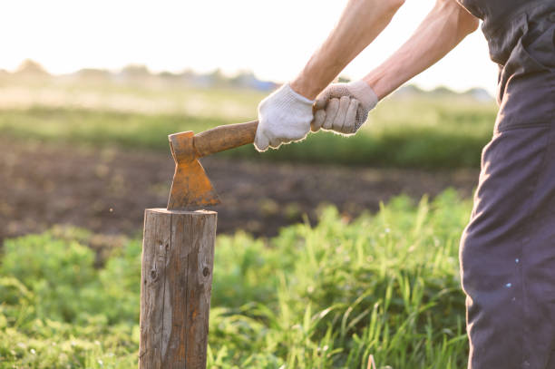 istock Man is chopping wood with vintage axe. close up, sunset 1306887205