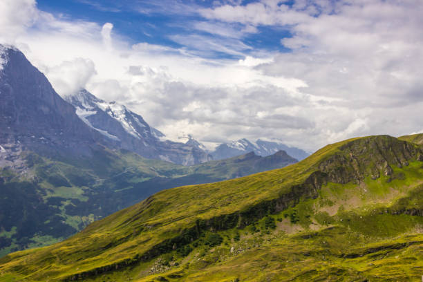 sentier de montagne dans les alpes suisses - switzerland european alps schreckhorn horizontal photos et images de collection