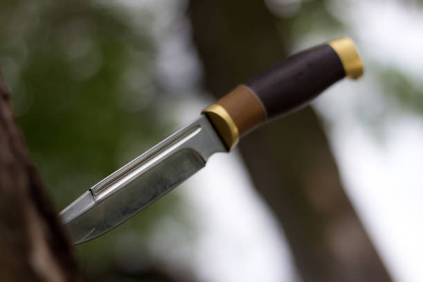 istock Old hunting knife stuck into a mouldering tree 1306890220
