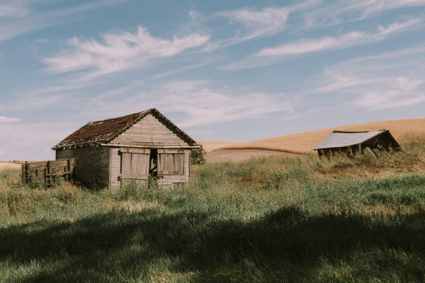 istock Abandoned Rural Homestead Landscape 1306892598