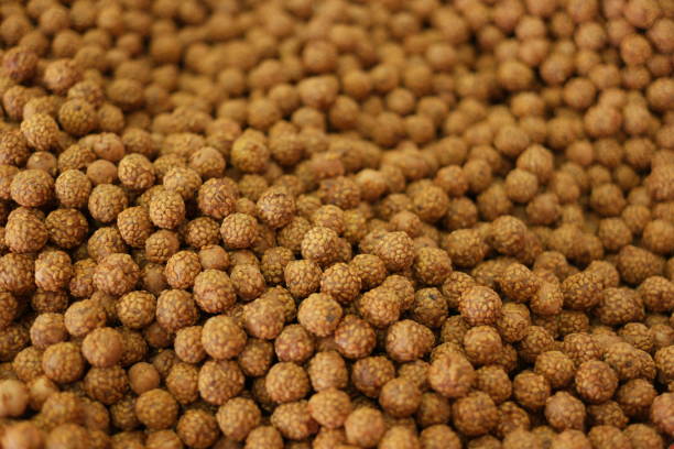 Chocolate candies covered with sesame seeds. Crispy edible balls background. Idea for breakfast.
