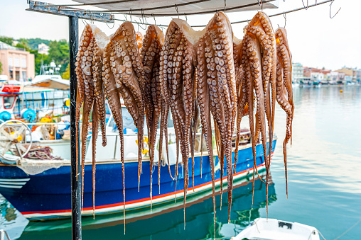 Sun-dried hanging octopus arms by the sea in Mytilene, Lesbos, Greece.