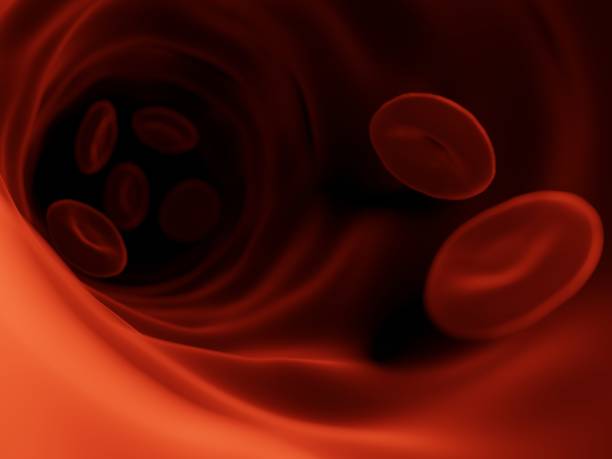 istock Red Blood Cells in Vein. 1306900265