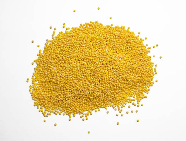 istock Raw millet groats on a white background 1306906332