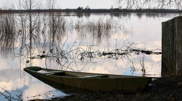 istock spring flood on the river, birch in the waters 1306909195