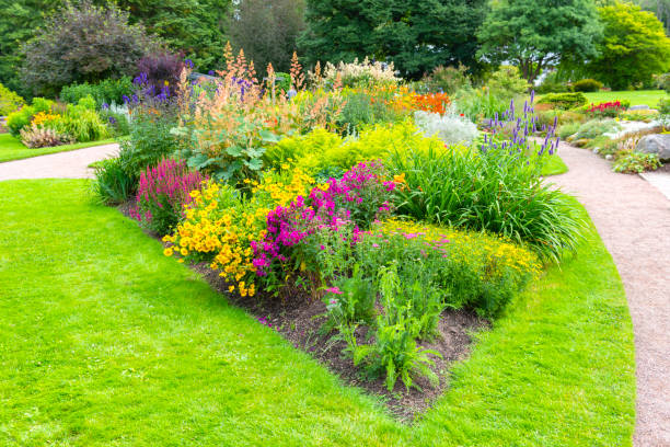 istock Summer in Gothenburg Botanical garden 1306910241