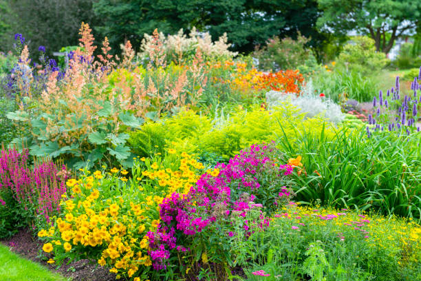 Summer flowerbeds in Gothenburg botanical garden