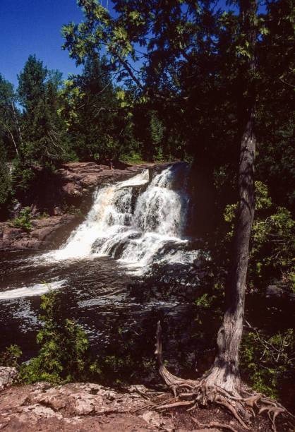 istock Gooseberry Falls SP - Gooseberry Falls & Tree Vertical - 2000 1306911139