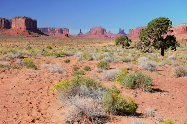 istock Rock formations in Monument Valley Navajo Tribal Park 1306911208