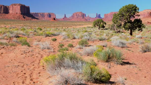istock Rock formations in Monument Valley Navajo Tribal Park 1306911211